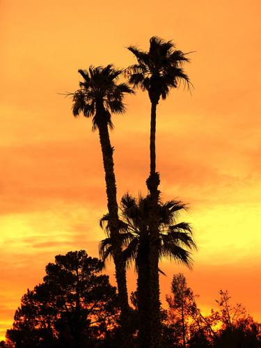 Desert Sunset #2 (2014) (Original) thumb