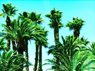 Green Palm Trees (2014) (Original) thumb