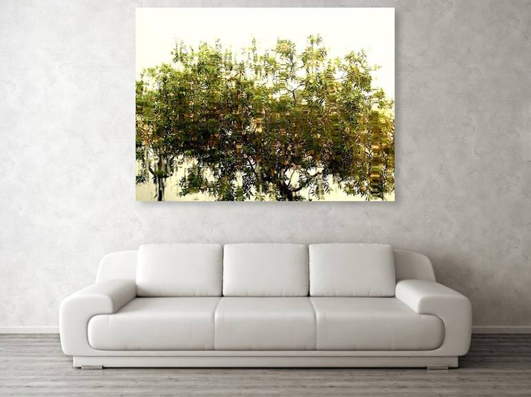 Original Impressionism Tree Photography by Dietmar Scherf