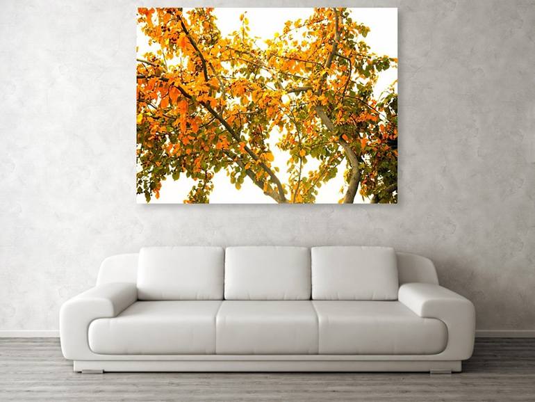 Original Illustration Nature Photography by Dietmar Scherf