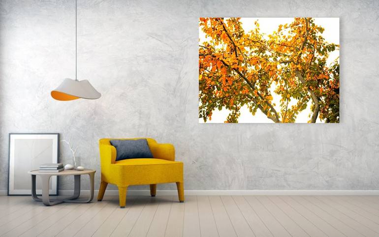Original Illustration Nature Photography by Dietmar Scherf