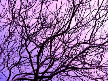 Branches Purple (2015) (Original) thumb