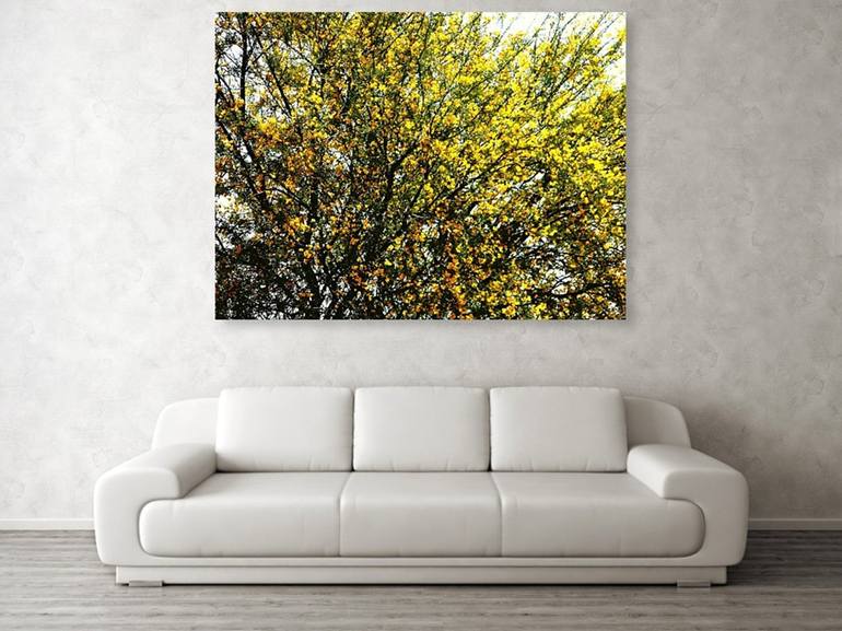 Original Impressionism Tree Photography by Dietmar Scherf