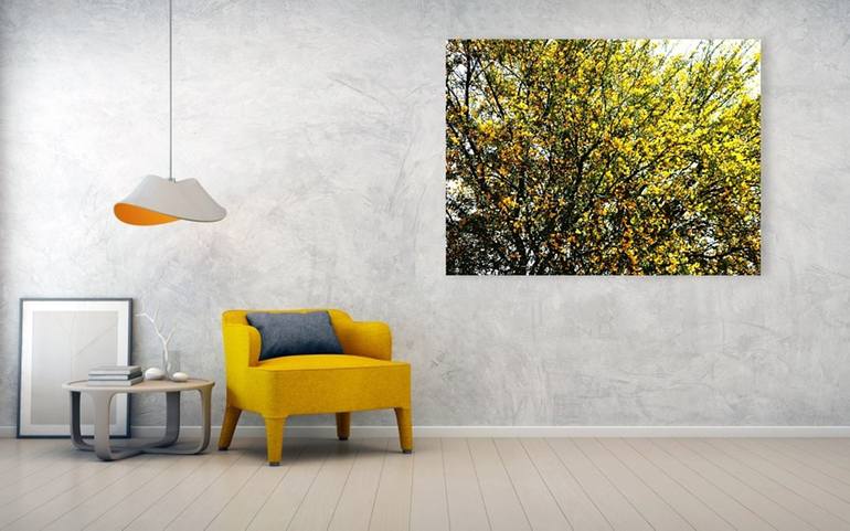 Original Impressionism Tree Photography by Dietmar Scherf