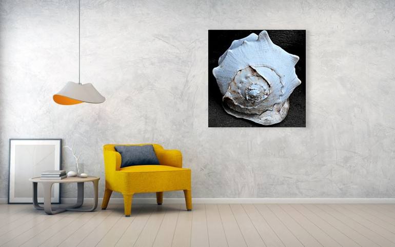 Original Fine Art Still Life Photography by Dietmar Scherf