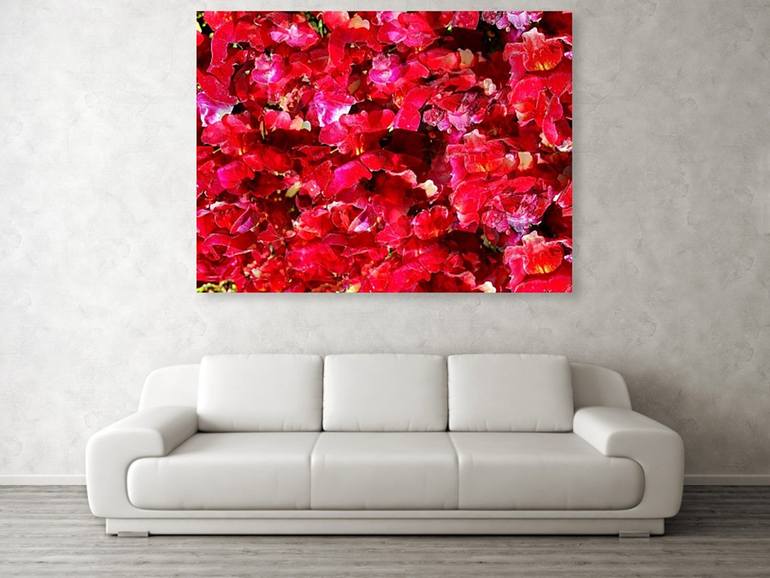 Original Illustration Floral Photography by Dietmar Scherf