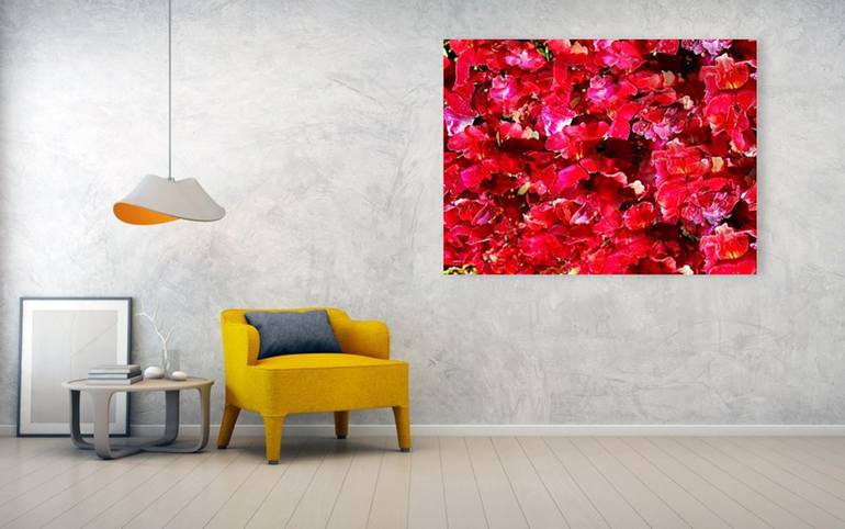 Original Illustration Floral Photography by Dietmar Scherf
