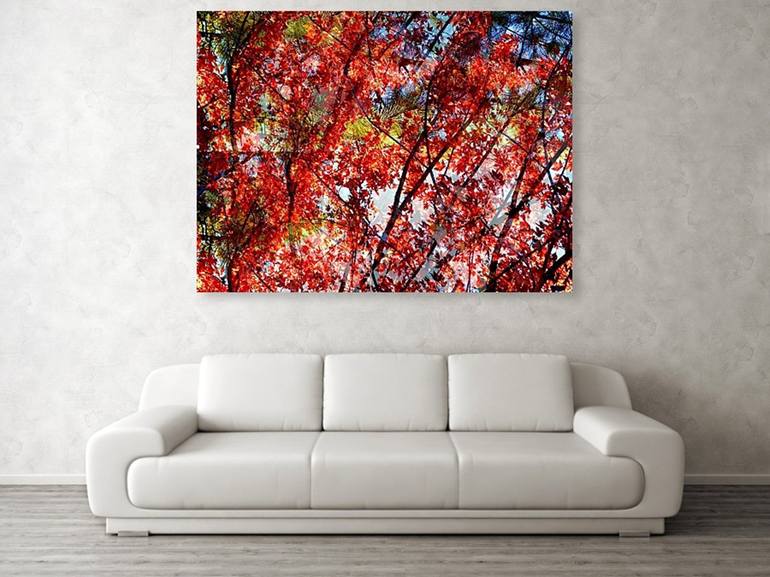 Original Impressionism Seasons Photography by Dietmar Scherf