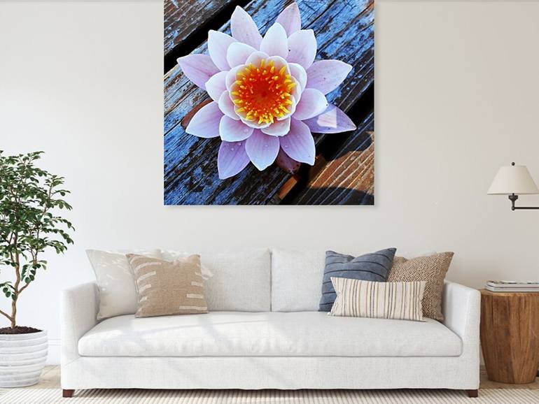 Original Fine Art Floral Photography by Dietmar Scherf