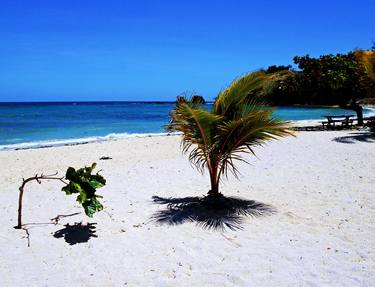 Original Beach Photography by Dietmar Scherf