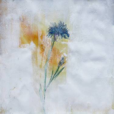 Print of Abstract Botanic Paintings by Mark Fearn