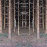 Utopia - Limited Edition 10 of 10 by lila herceg