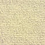 I LIED by Tracy Parlangeli