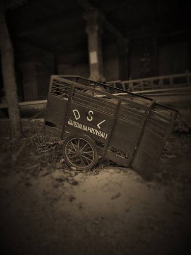 Print of Rural life Photography by Martin Roux