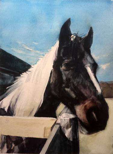 Watercolor of a Black Horse with White Manes thumb