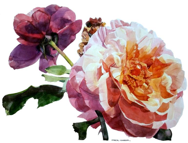 Original Floral Painting by Greta Corens | Realism Art on Paper | Watercolor of a Red and Purple Rose on a Stem