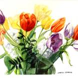 Watercolor of a Colorful Bouquet of Tulips by Greta Corens