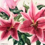 A Watercolor Bouquet of Pink Lilies by Greta Corens