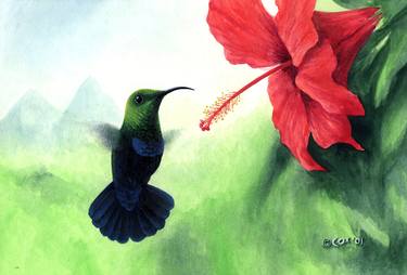 Green throated hummingbird and red hibiscus thumb