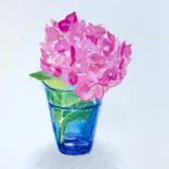 Hydrangea flower in a blue vase by Margriet Fischer