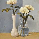 Collection Local Spotlight: Chicago