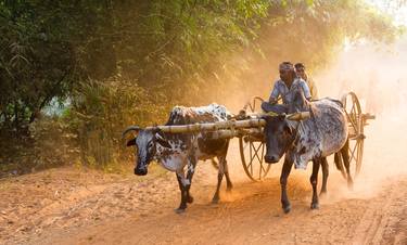 Print of Transportation Photography by Arup Ghosh