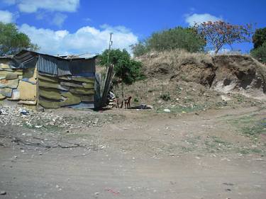 Print of Rural life Photography by Carlos Miranda