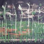 Rebirth by André Pillay