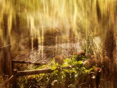 Print of Expressionism Garden Photography by André Pillay