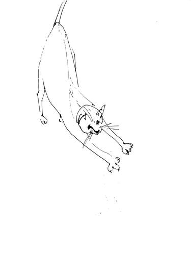 Print of Figurative Cats Drawings by Monika Malinowska