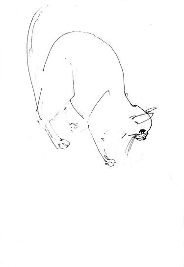 Print of Figurative Cats Drawings by Monika Malinowska