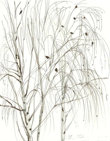Print of Tree Drawings by Monika Malinowska
