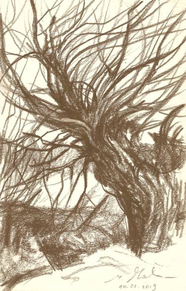 Print of Realism Tree Drawings by Monika Malinowska