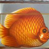 flatfisch by Leo Wijnhoven