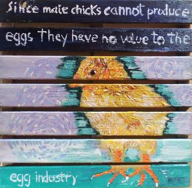 since male chicks cannot produce eggs they have no value to the egg industry thumb