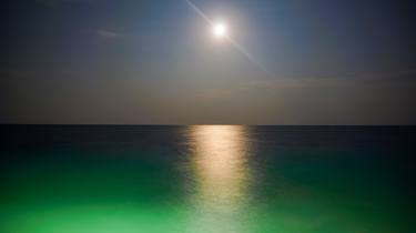 Maldivian full moon thumb
