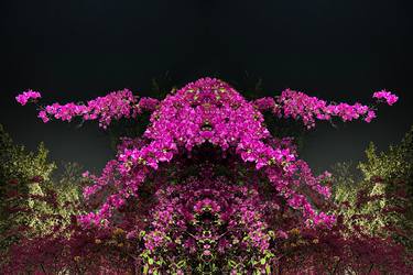 Original Abstract Botanic Photography by Sumit Mehndiratta