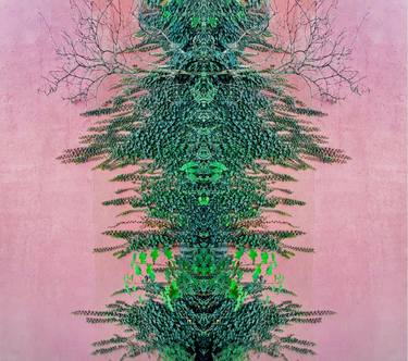 Original Conceptual Botanic Photography by Sumit Mehndiratta