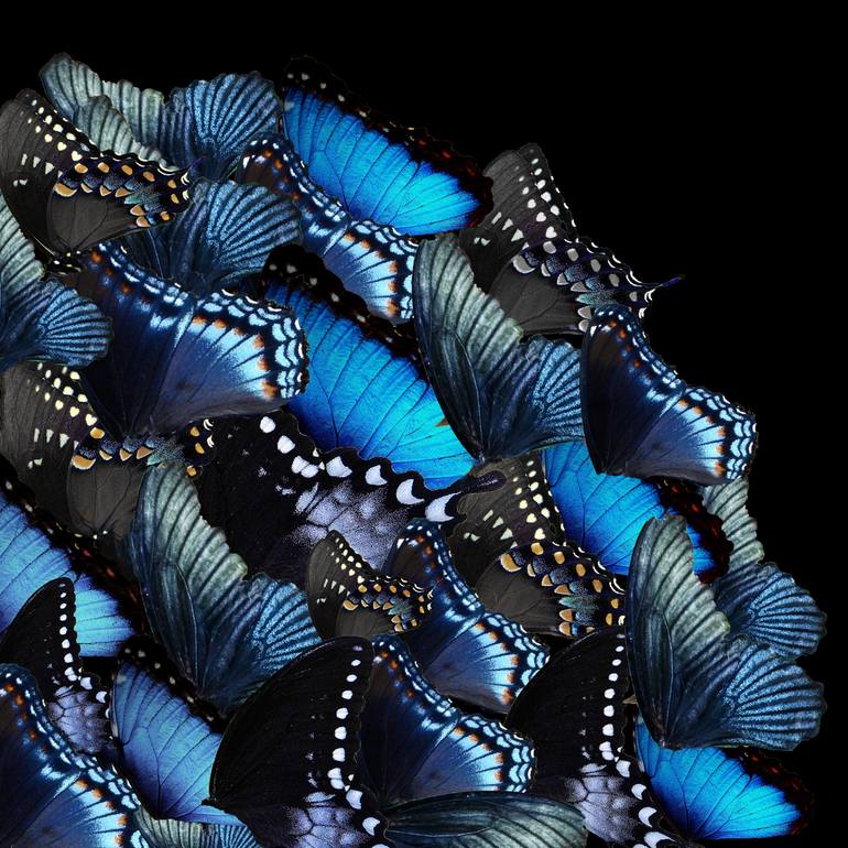 Original Abstract Animal Digital by Sumit Mehndiratta