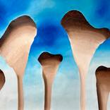 Holy shrooms by Sumit Mehndiratta