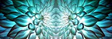 Original Abstract Floral Photography by Sumit Mehndiratta