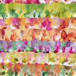Collection Camellia