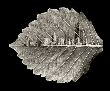 Original Botanic Digital by Sumit Mehndiratta