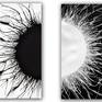 Collection Black and white Canvas paintings
