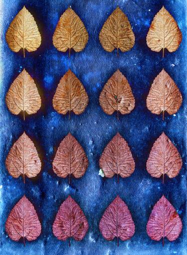 Original Abstract Botanic Digital by Sumit Mehndiratta