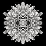 Collection Favorites For $500 and Under