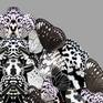Archival ink pigments on Epson canvas. A digitally formulated image of black and white butterflies put together as a tribe gathered in their habitat.