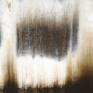 Acrylic paint on canvas. Painting shipped rolled in a tube.
Scales of white and burnt umber brown colours painted together in long movements going upwards. Painting shipped stretched in a wooden crate with Certificate of Authenticity.