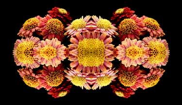 Print of Abstract Floral Photography by Sumit Mehndiratta