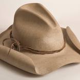 American Cowboy by Robin Antar